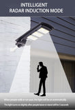 1040 Integrated Street Light