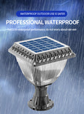 Solar Fruit Series Garden Light